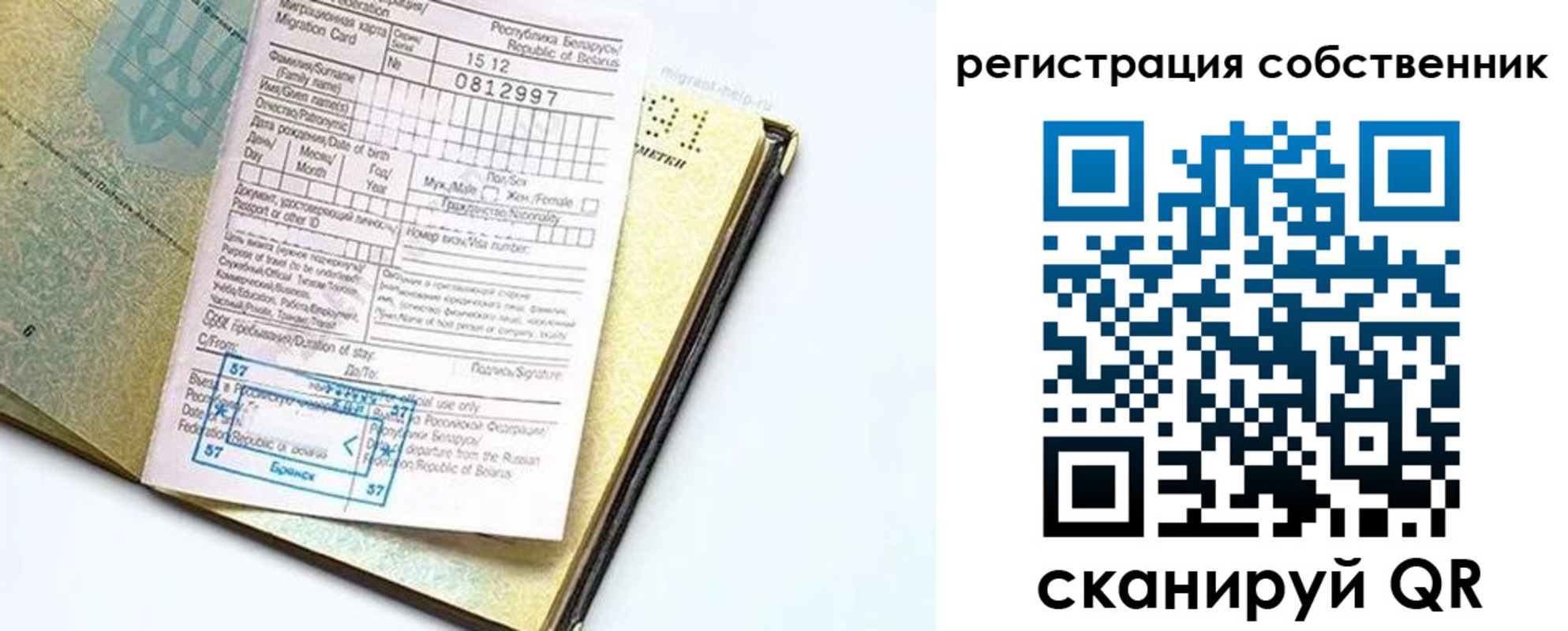 прописка законно в Кингисеппе