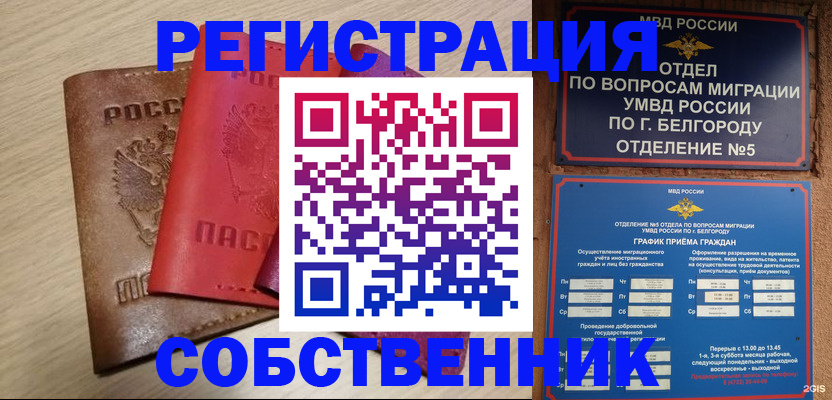 временная регистрация гарантия в Кингисеппе