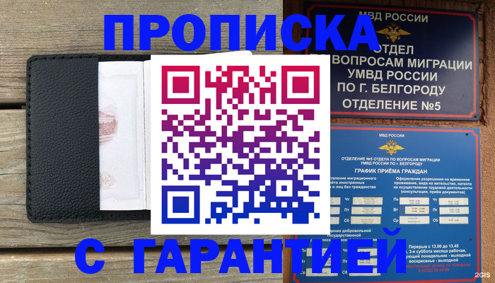 купить прописку в Кингисеппе